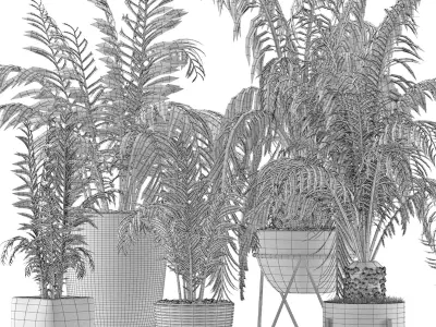 Plants Collection 18 3D model purchase