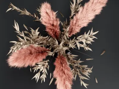  Bouquet dry pampas and Eucalyptus 3D model