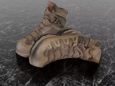 SALOMON QUEST 4D GTX 3D SHOES Low-poly 3D model