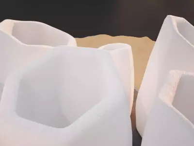 Corallium Marine 3D model