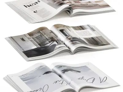 magazines opened 3D model