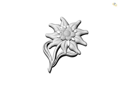 Pendant edelweiss  3D print model