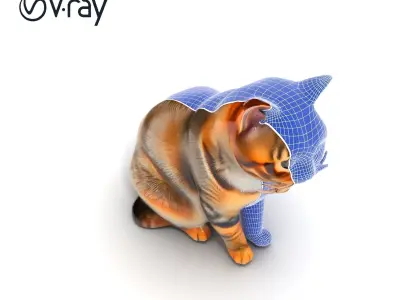 Realistic Domestic Cat D model pack Low-poly 3D model
