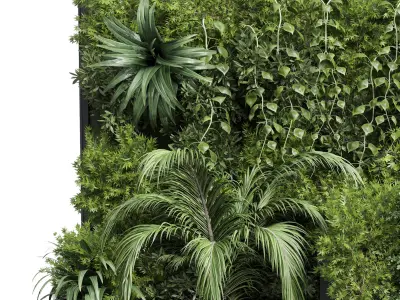 Box Plants on Stand collection of outdoor plants 108 3D model