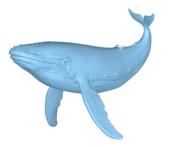 Humpback Whale 3D Printable Model STL OBJ 3D print model
