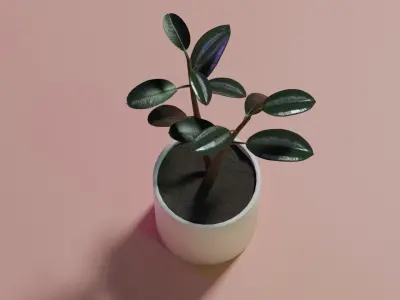 Ficus Burgundy Rubber Tree PBR Ready for Unreal Engine 5 Low-poly 3D model