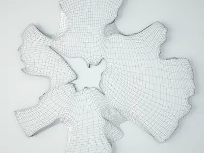 Organic Root Slice Mirror 3D model