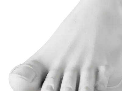 Plaster foot 3D model