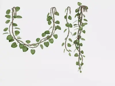 -Liana Plants- 3D model