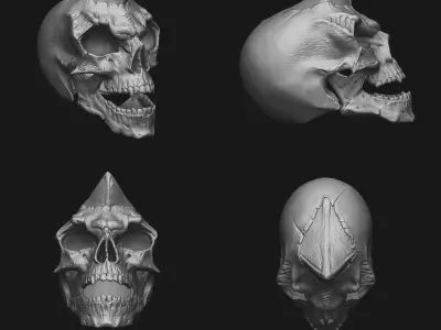 Skull 3D print model