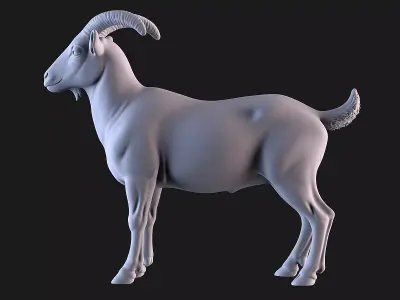 Nanny goat 3D print model