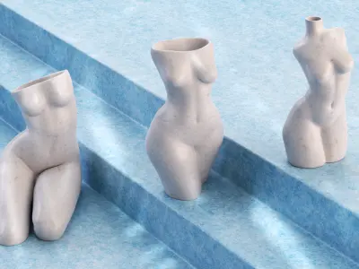 Vase Body 3D print model