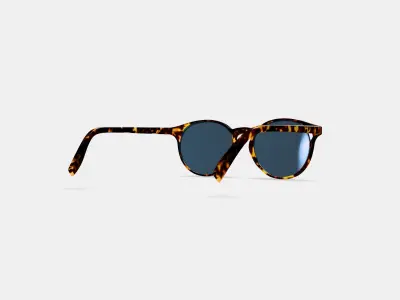 Renton Sunglasses in Black Oak Tortoise Low-poly 3D model