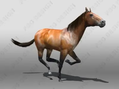 Horse running 3D model