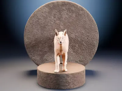 Caracal Cat with rigging and animation 3D model