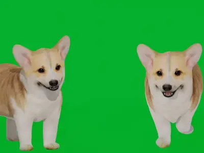 Pembroke Corgi Puppy Dog Low-poly 3D model