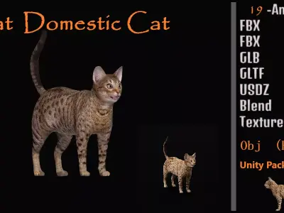 Ocicat Low-poly 3D model