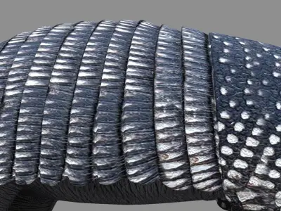 Armadillo 3D model