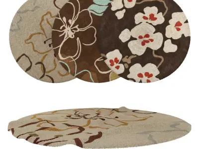 Round Rug Set 214 3D model
