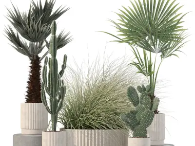 20 Photorealistic Flowers for Interiors - set 209 214 216 219 3D Model Collection