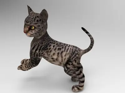 Black Cat Rigged Low-poly 3D model