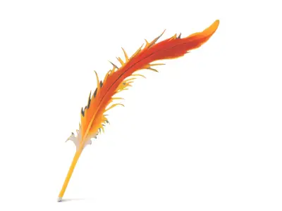 Orange Feather model pack Low-poly 3D model