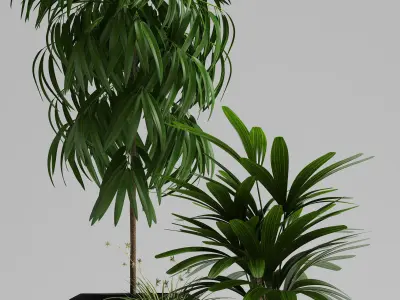 plants set 134 3D model