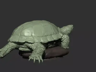 Turtle 3d model 3D print model