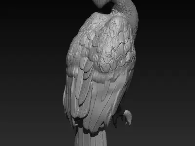 Hornbill 3D print model