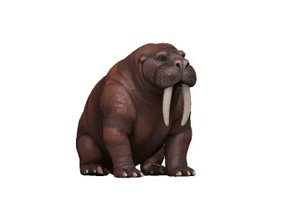 Walrus Low-poly 3D model