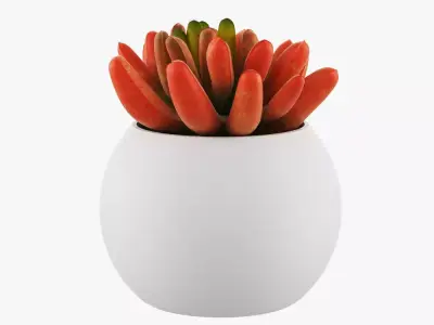 Flower in pot 3D model