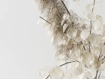 Bouquet with lunaria pampas grass and hydragea 3D model