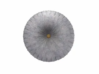 Buttoned Round Pillow 3D model