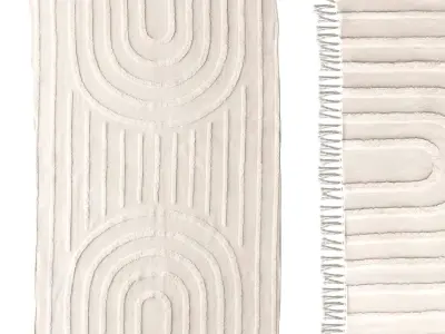 Modern Hilo Tufted Rug 3D model