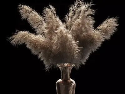 Dried plant 3D model