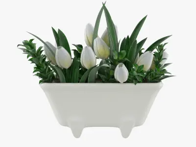 Tulips in mini bath 3D model