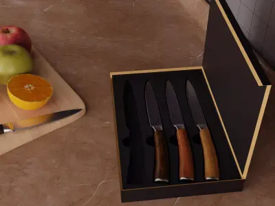 Kitchen Knife Set with Elegant Box  Realistic 3D Model 3D model