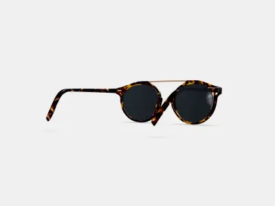 Cooper Sunglasses in Black Oak Tortoise with Polished Gold 3D model