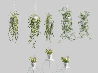 Hanging Pots with Plants Low-poly 3D model