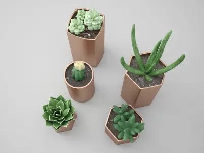 Copper Potted Cactus Set 3D model
