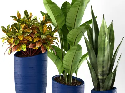 plants set 138 3D model