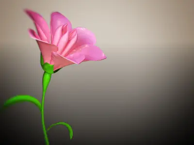 Animated Flower Blooming Flower 3D model