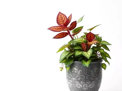 Intricate Planter with Vibrant Foliage model pack Low-poly 3D model