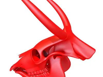 Printable Cow Skull with Horns 3D model