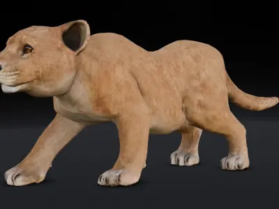 Lion Cub Animated 3D Model  Low-poly 3D model