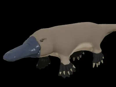 Pam the Platypus Low-poly 3D model