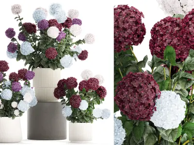 Beautiful hydrangea bushes in flower pots for decoration 1290 3D model