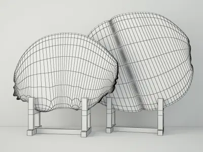 White Petrified Wood Slices 3D model