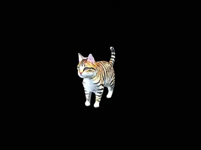 Awesome Cat 3D model