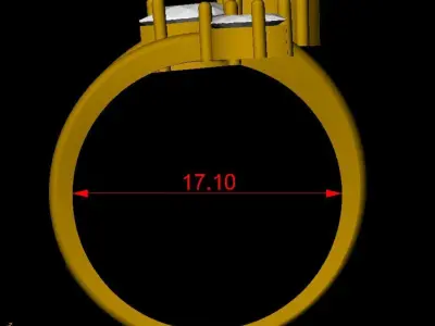  Gold ring adorned with exquisite marquise and pear diamonds 3D print model